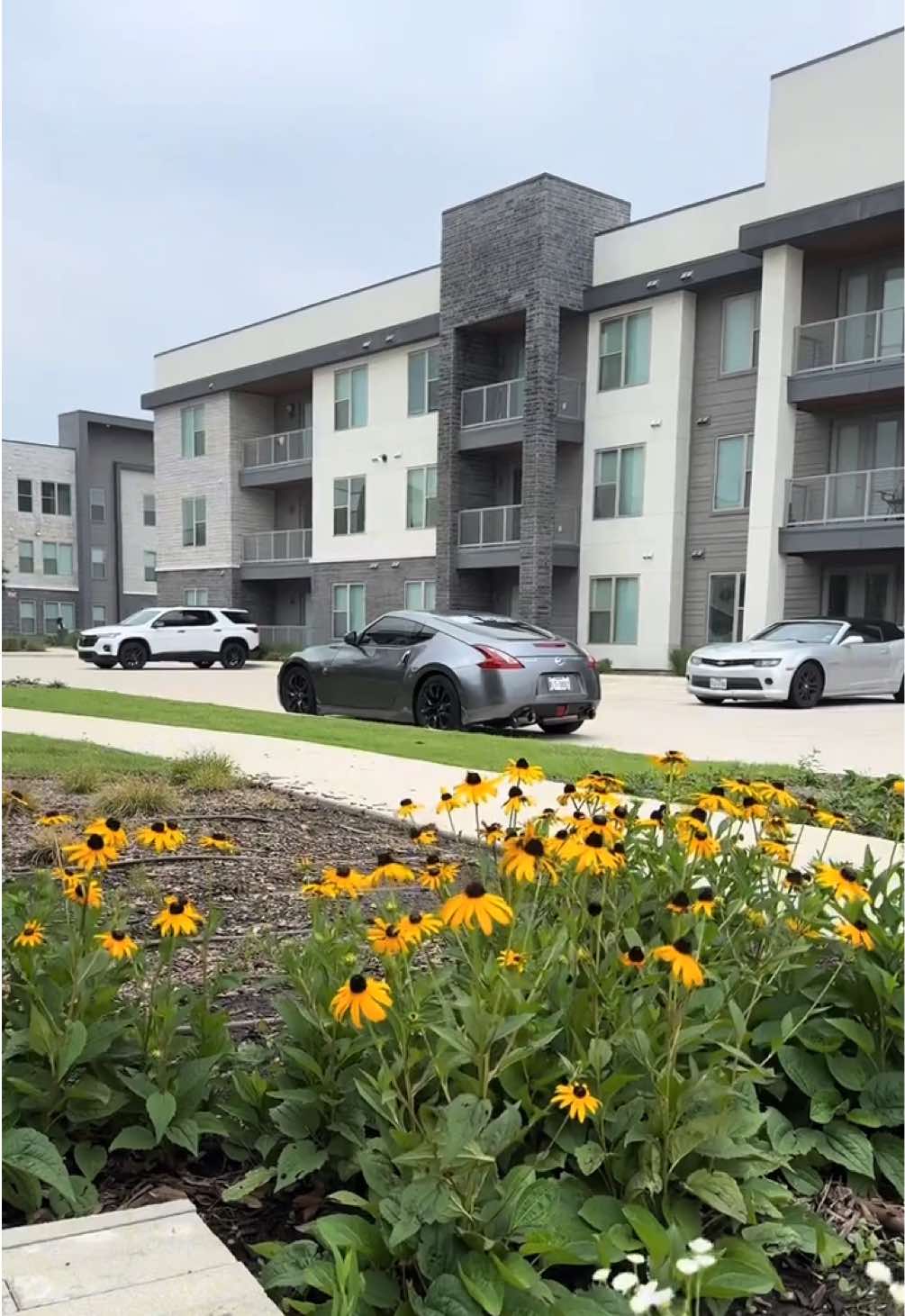 @Megan | Apartment Locator Tx.