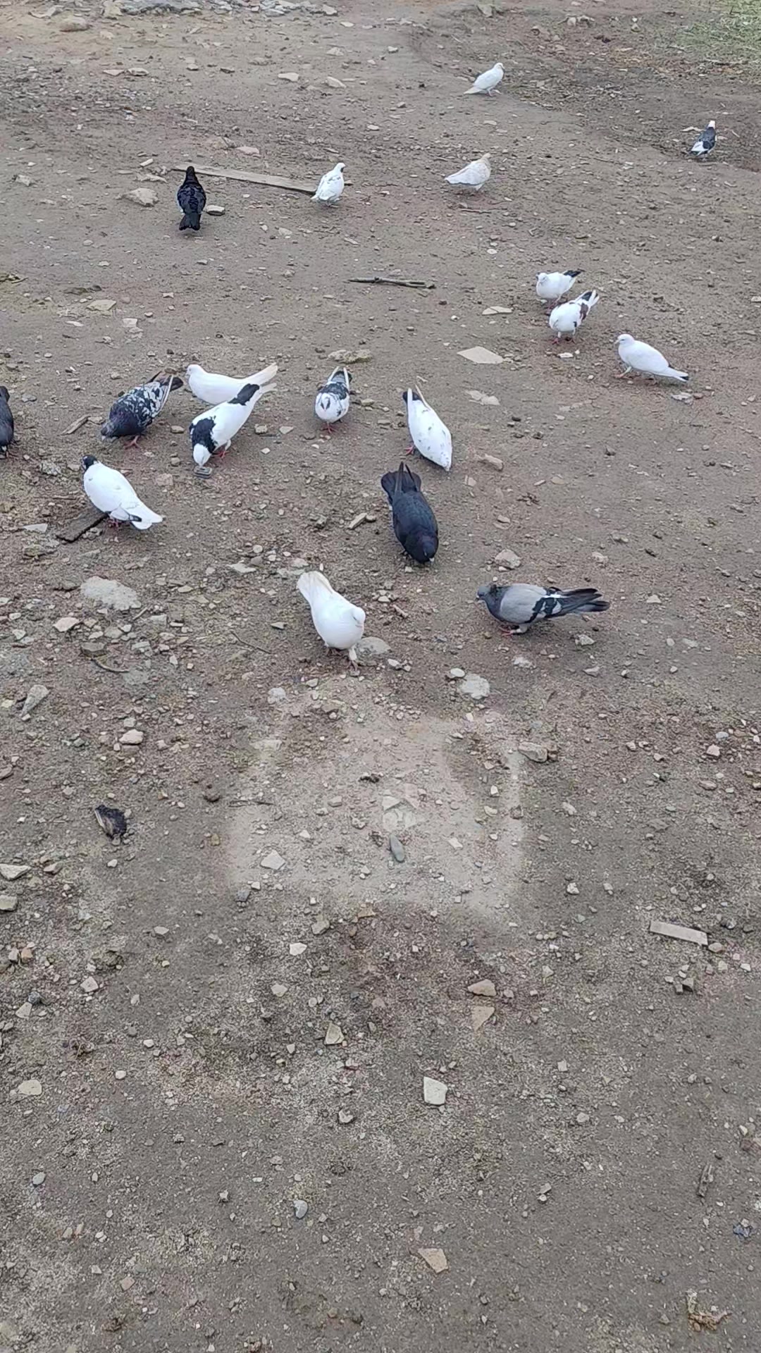 @𖤓𝐍𝐔𝐑𝐋𝐀𝐍𖤓&sup3;&sup3;