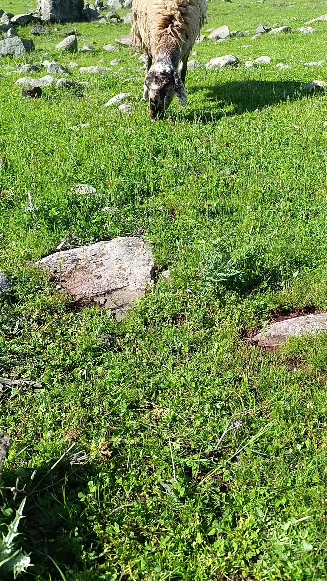 @Süleyman21 🐊🐊