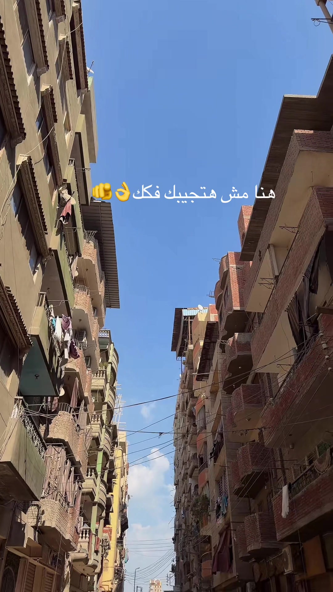 @Mina adel🚗