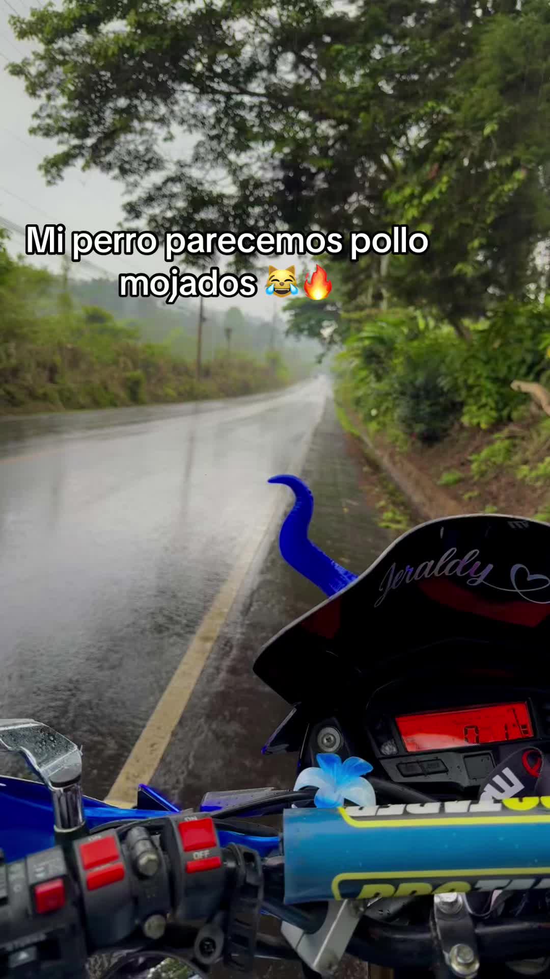 @Adiel V&aacute;squez🫧