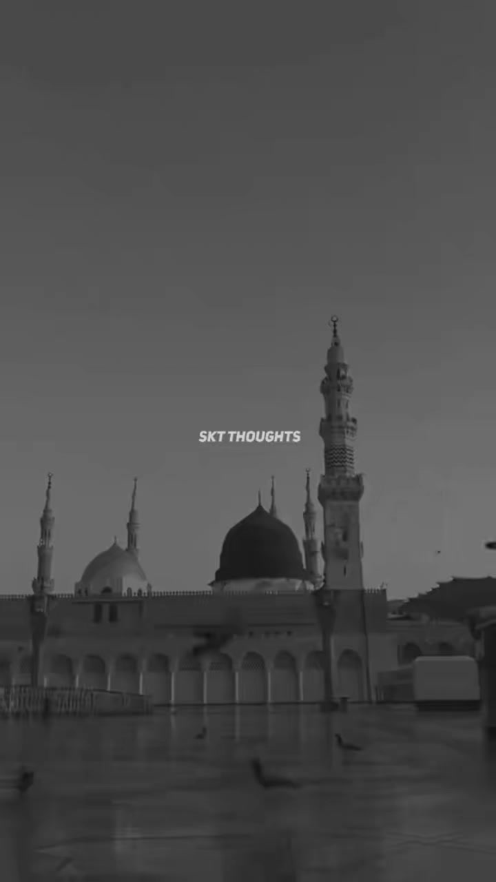 @Quran vibes✨