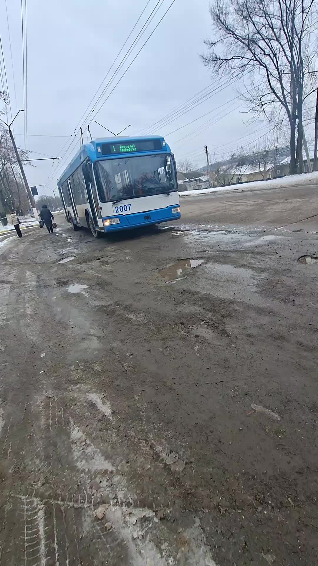 @Тролейбусник