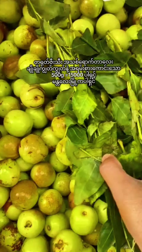 @ဘူးဘူးမေမေစားသောက်ကုန်1410💖
