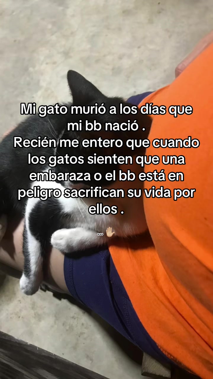 @Soy wendy