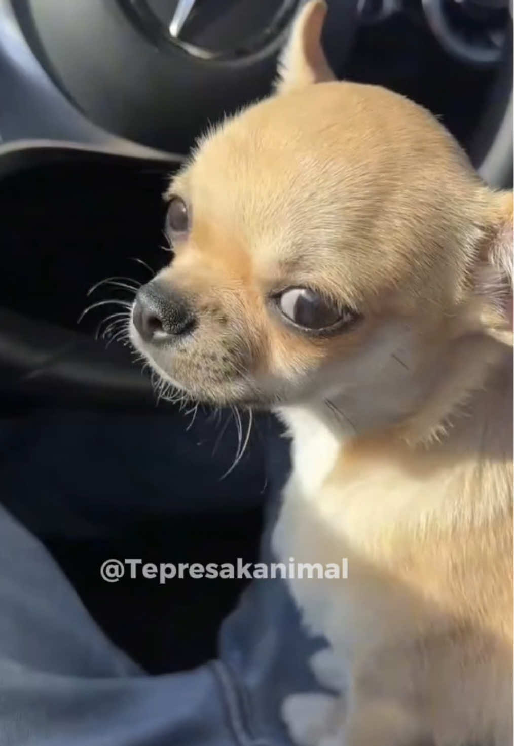 @TEPRESAK