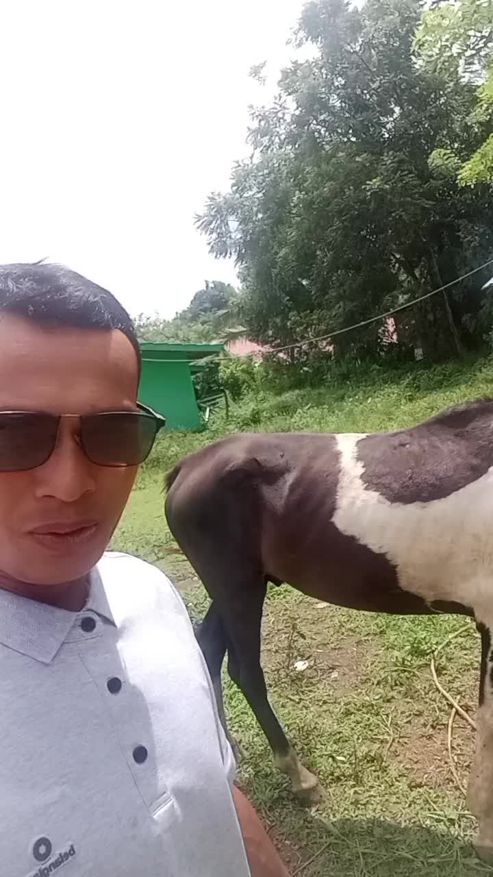 @®©anda