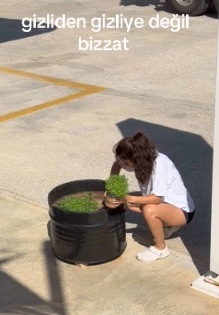 @aysu