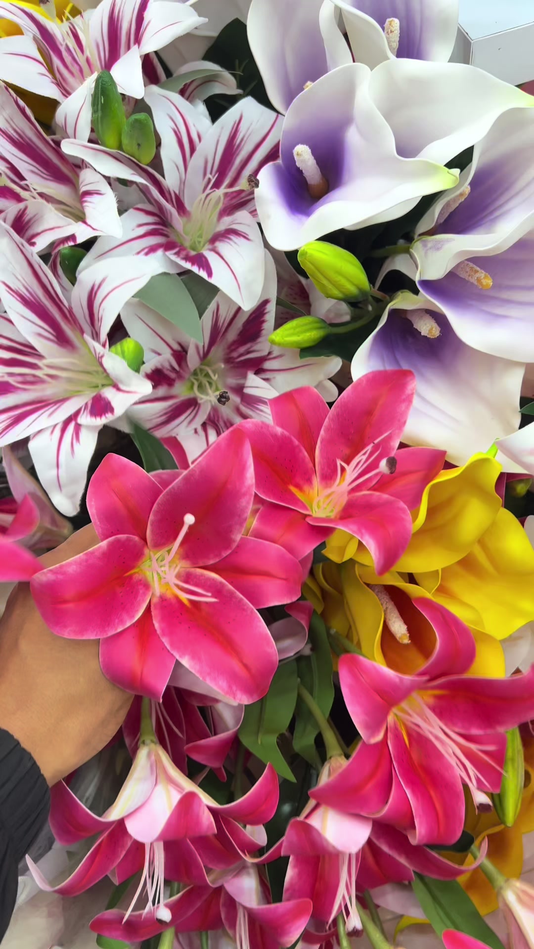 @روفان💗