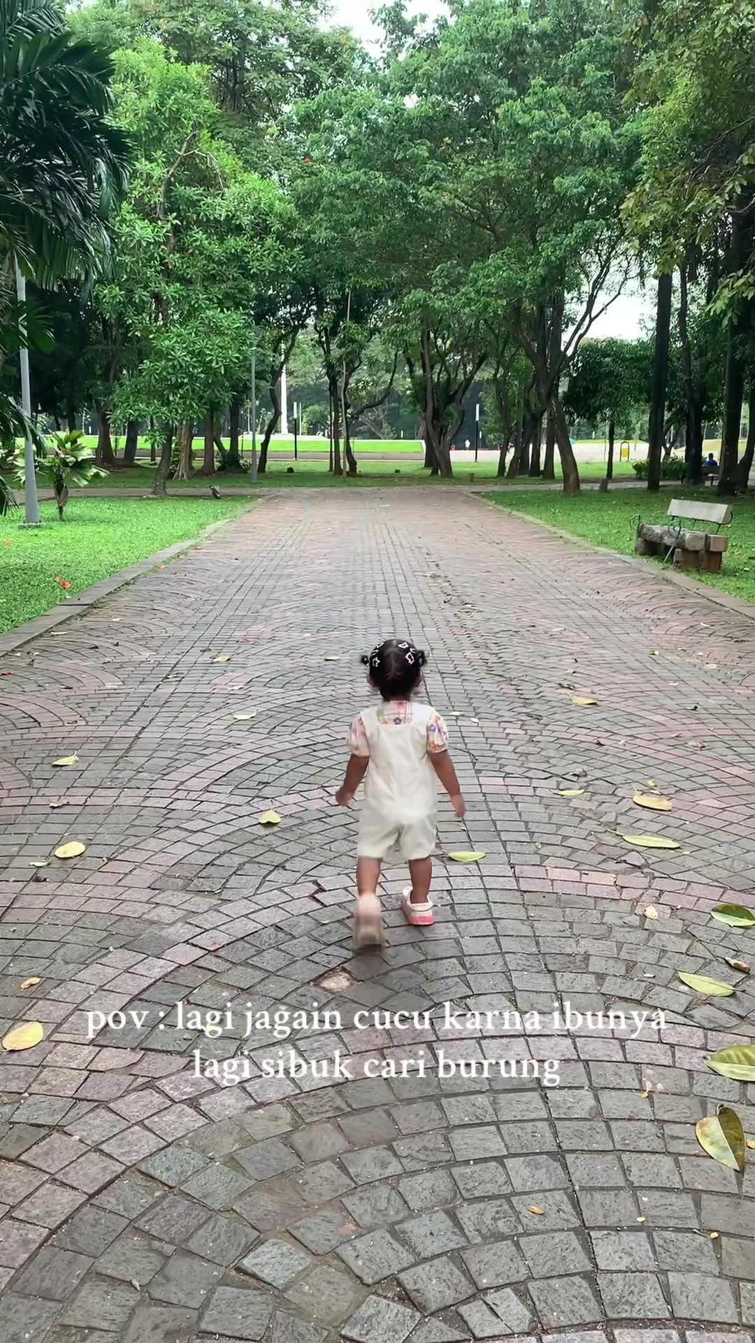 @Laya