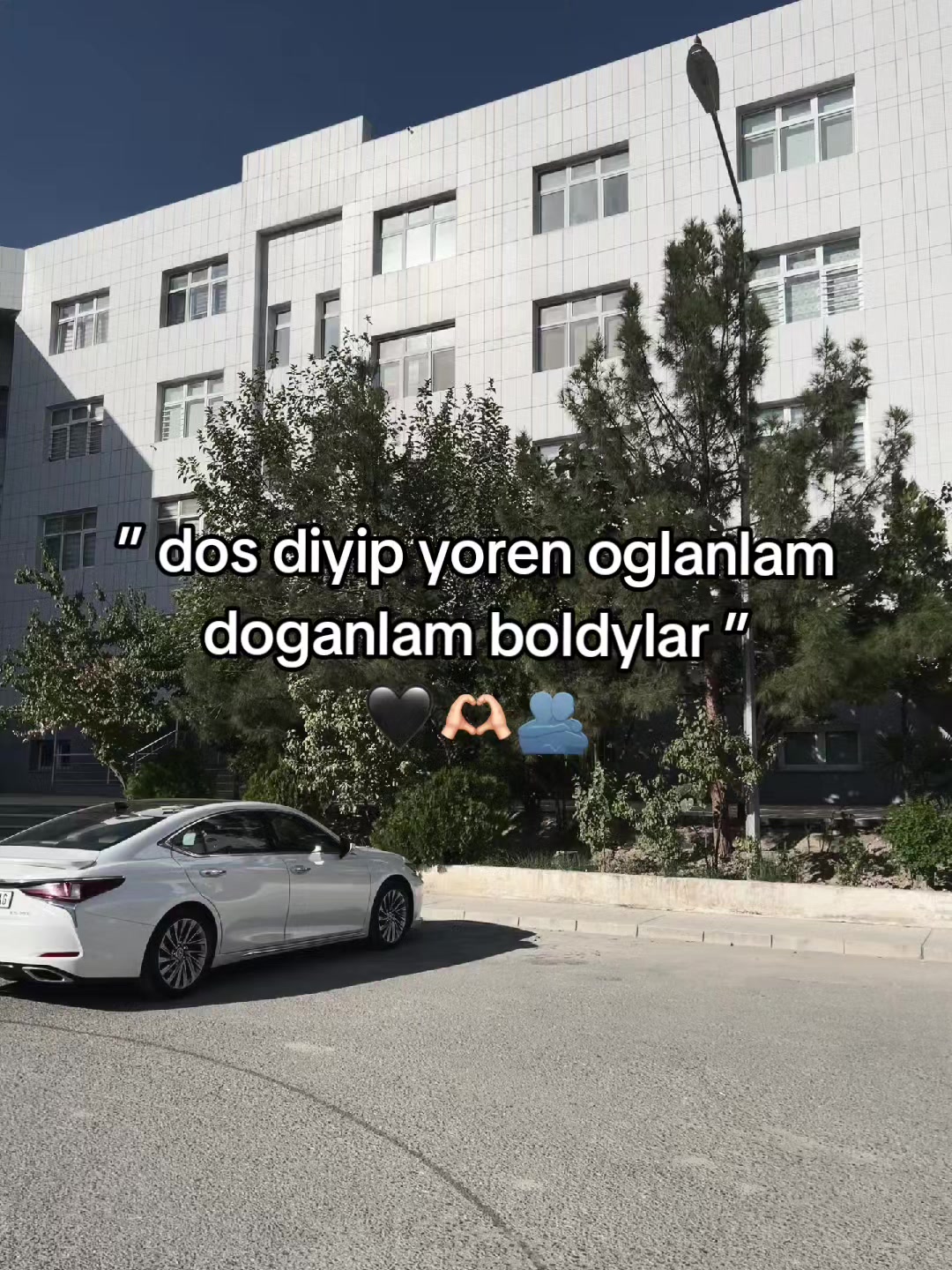 @Selim_7
