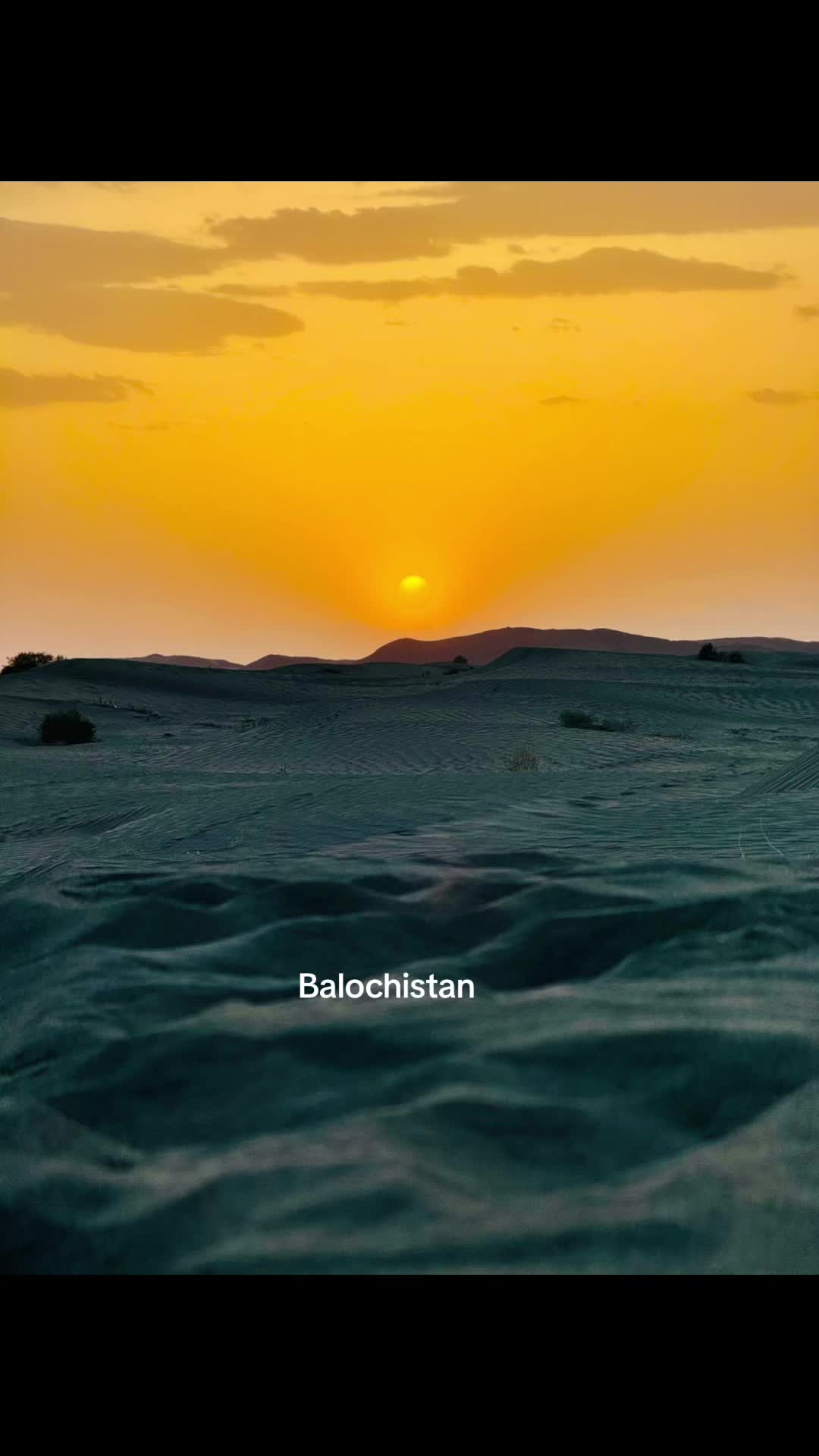 @shehzad kubdani