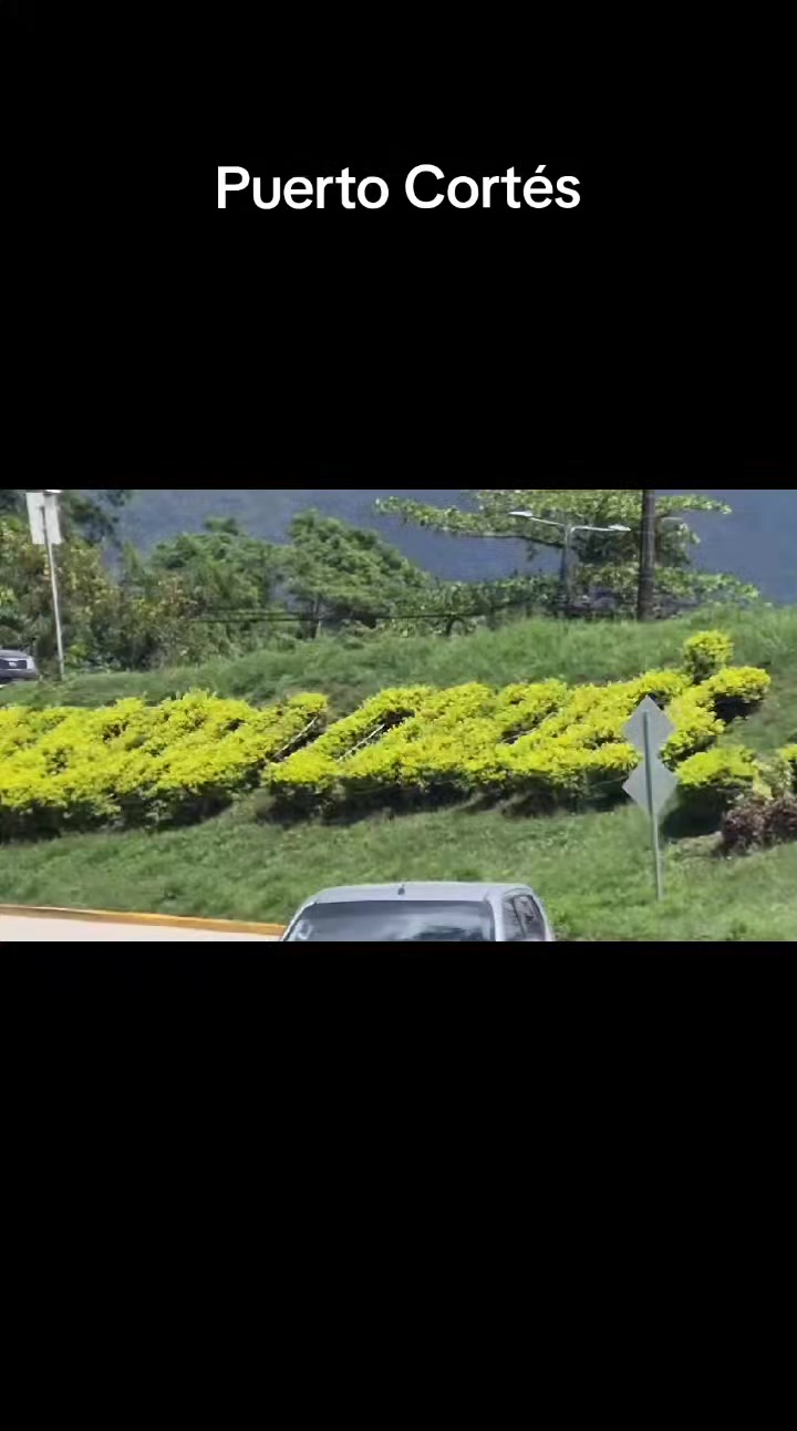 @Gilma Mejia