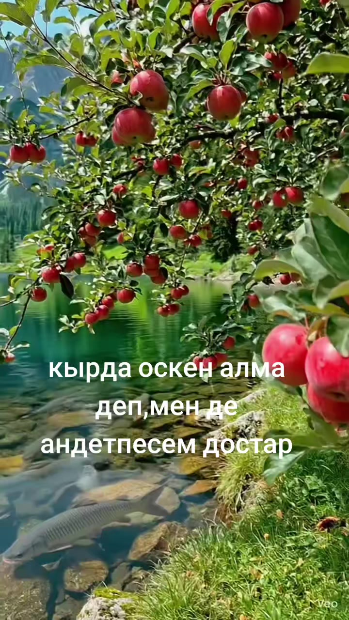 @Майра