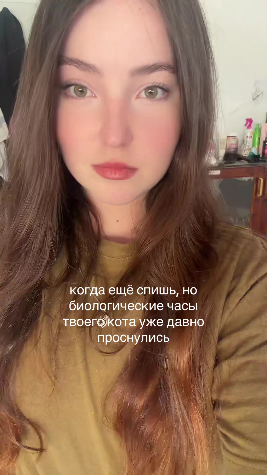 @sharlotka