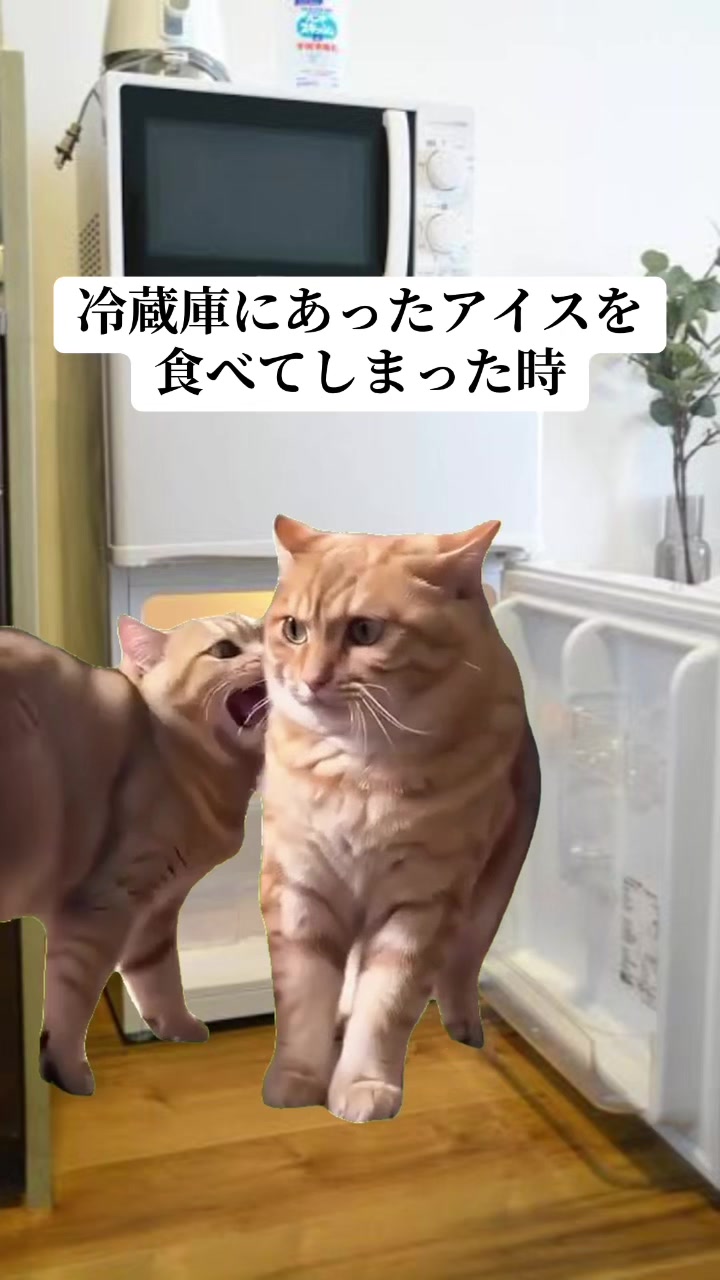 @面白ミーム