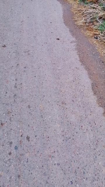 @ابن العراق