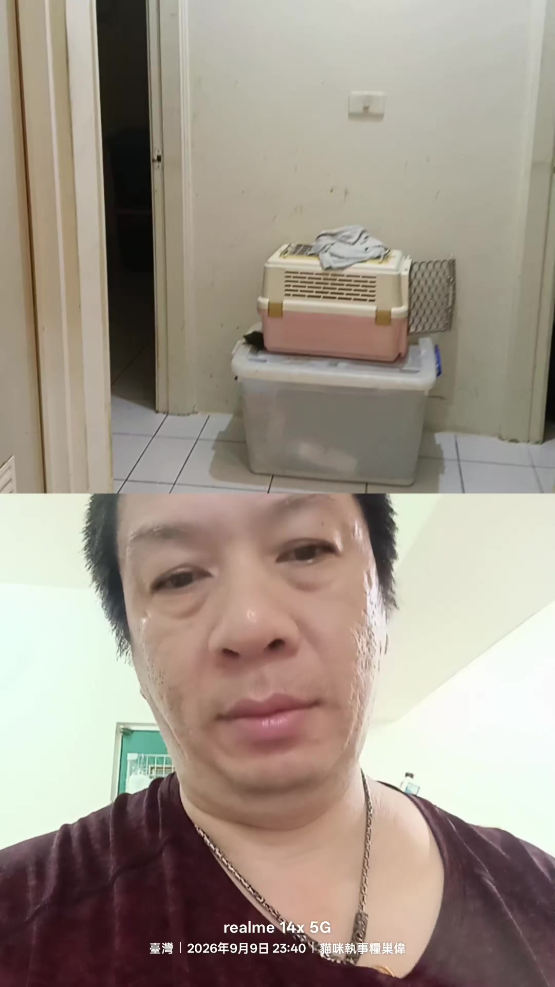 @糧巢偉-貓咪執事