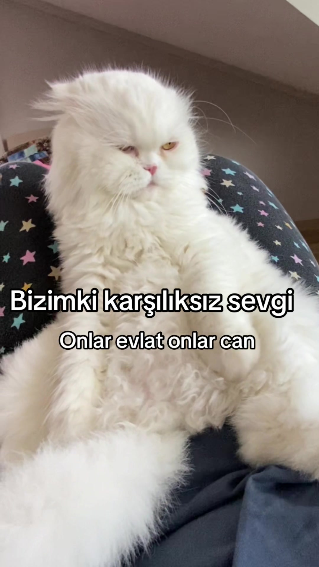 @yudummz_