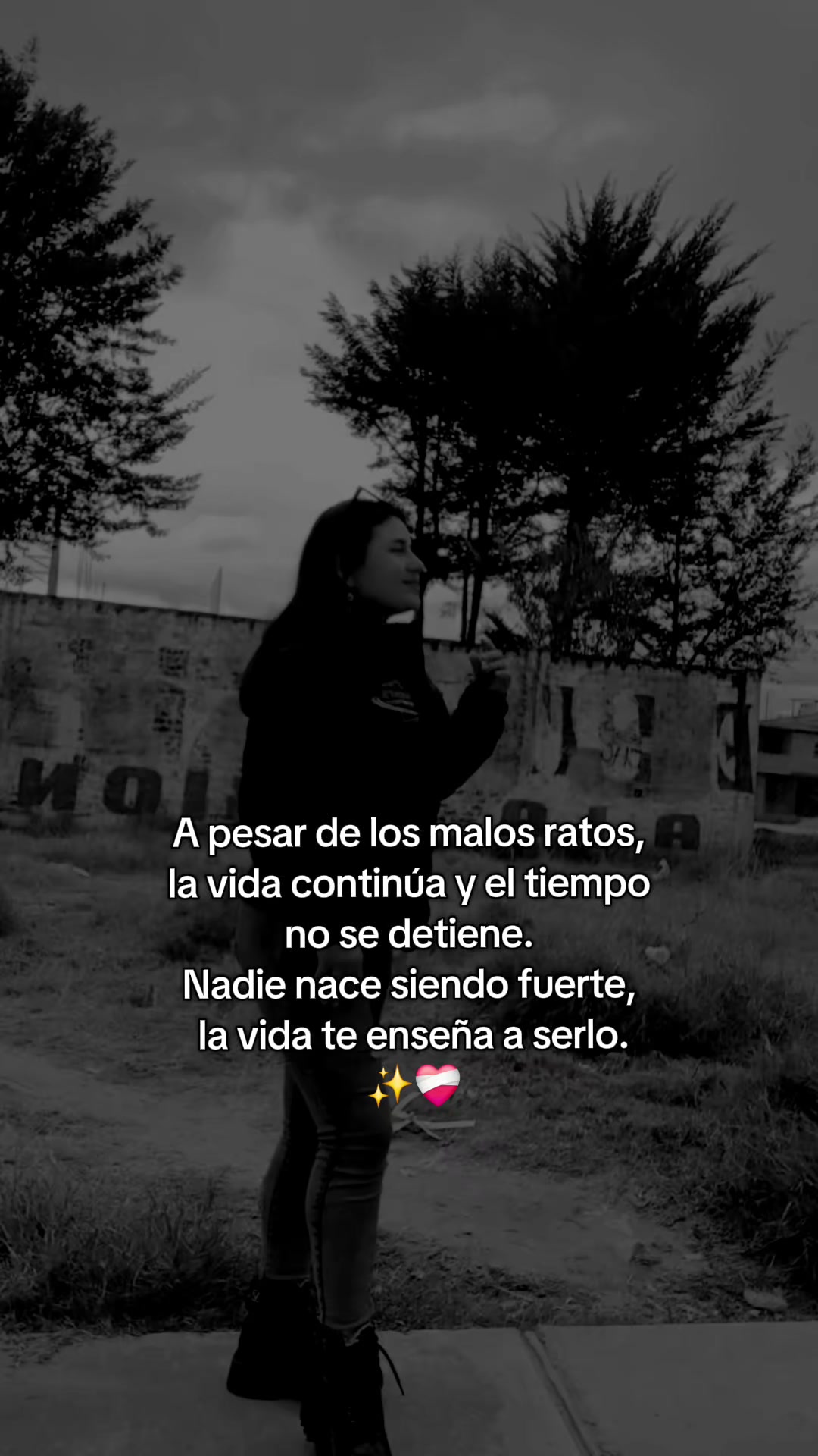 @Lisbeth Lavan cantante 🎤🎤