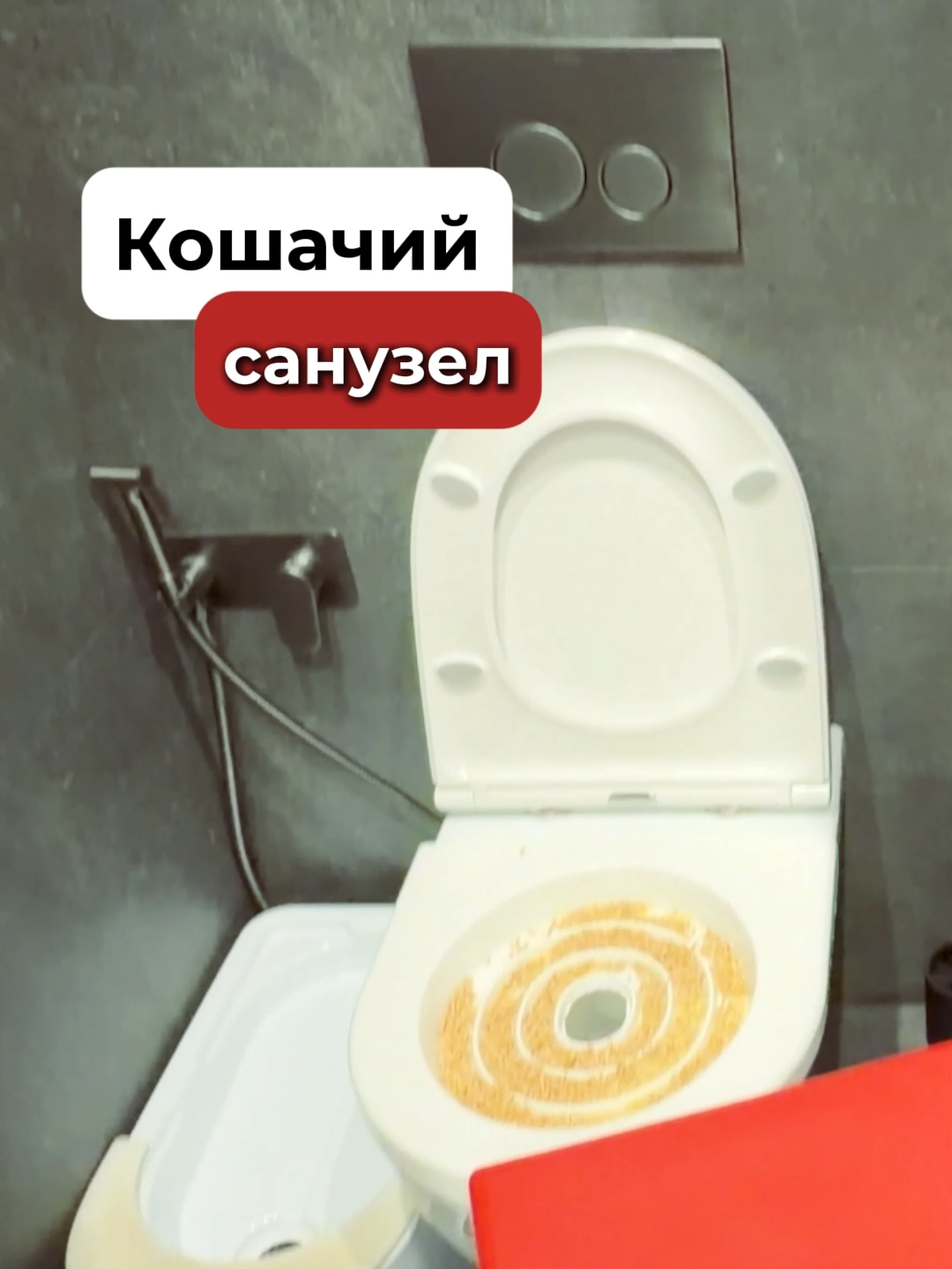 @Ольга Качанова