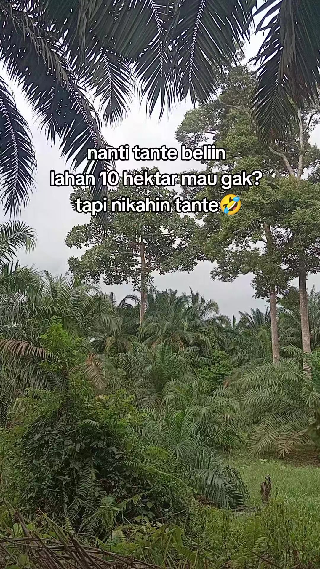 @(TARIADI@17.