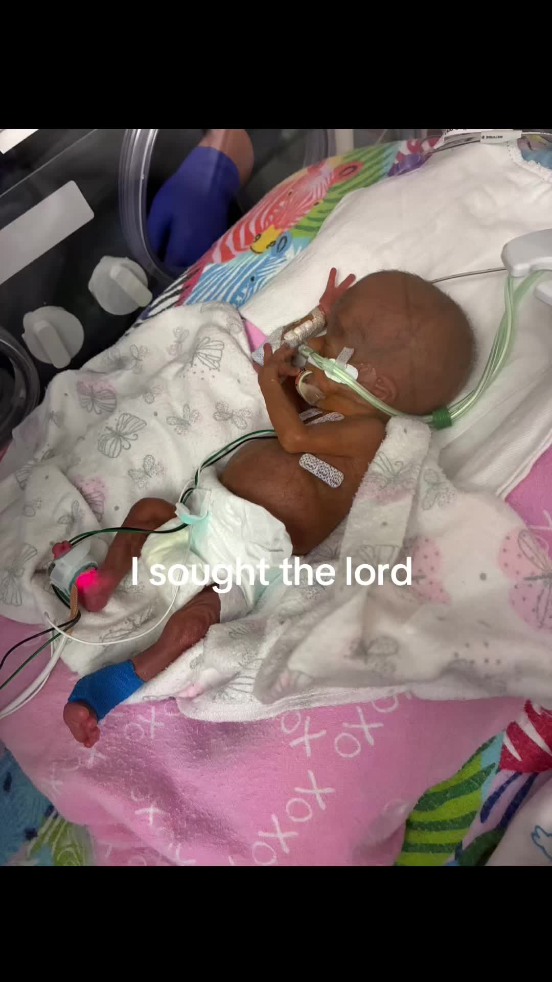 @Dipshit Sav💙🪬