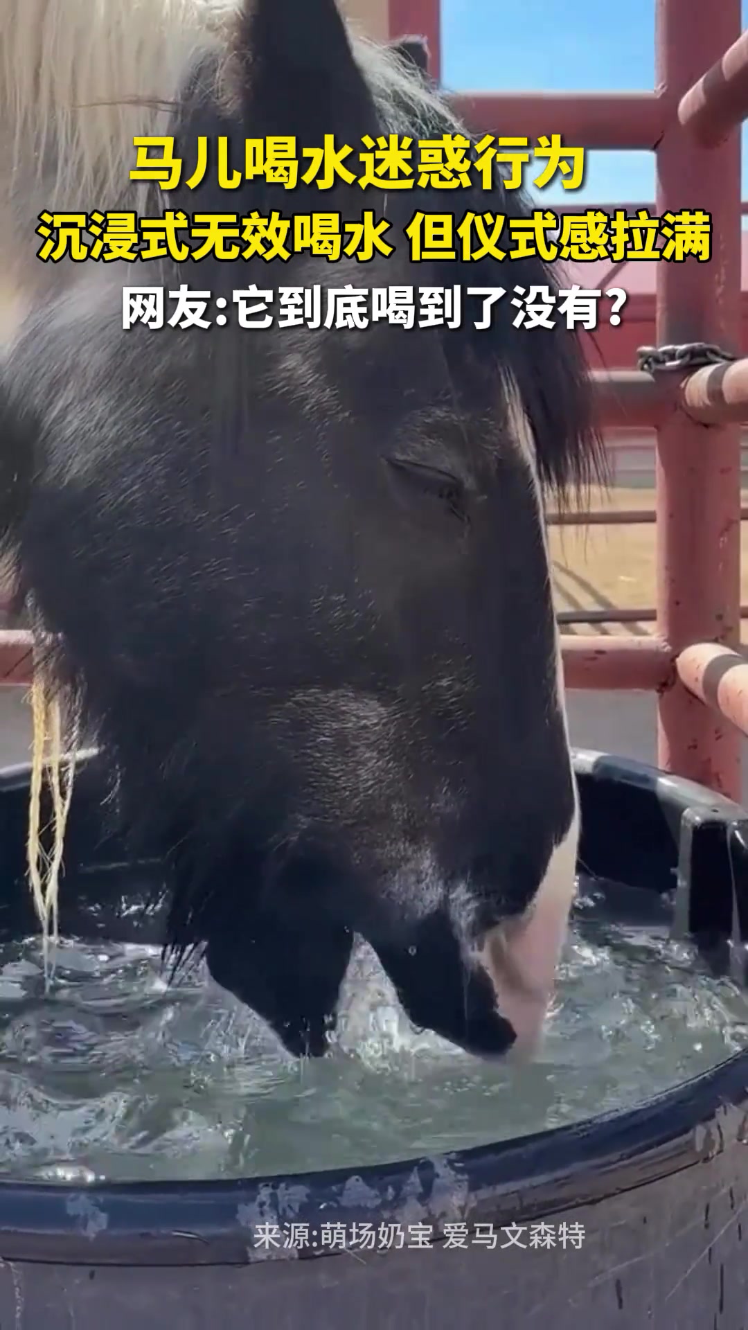 @中国蓝国际