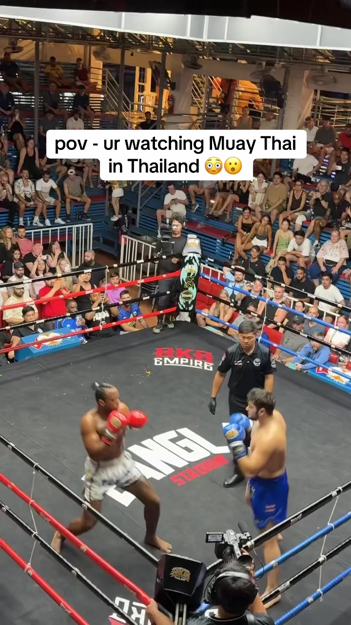 @joeysalehh
