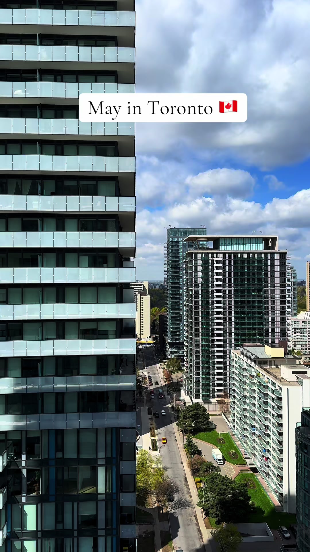 @Toronto Vibe🇨🇦