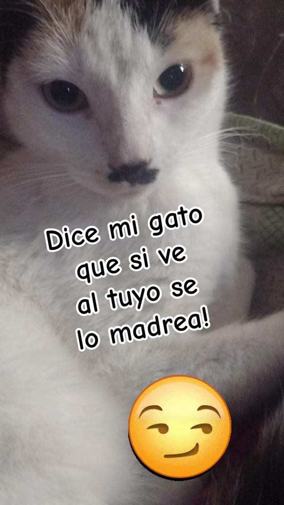 @😻 LALI 😻
