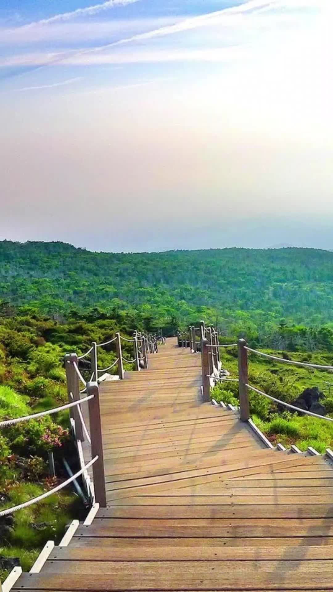 @베네딕트