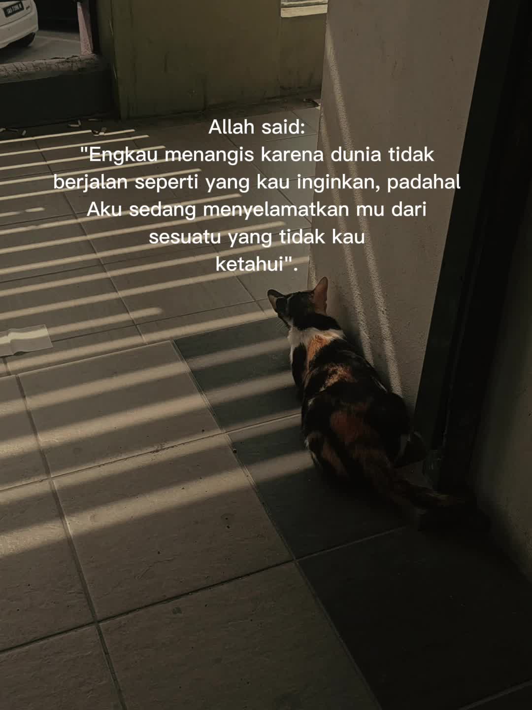 @M 4 N