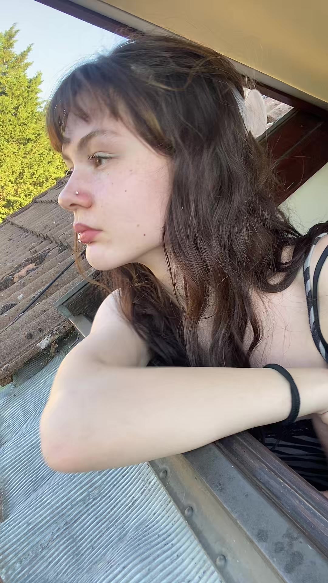 @maya
