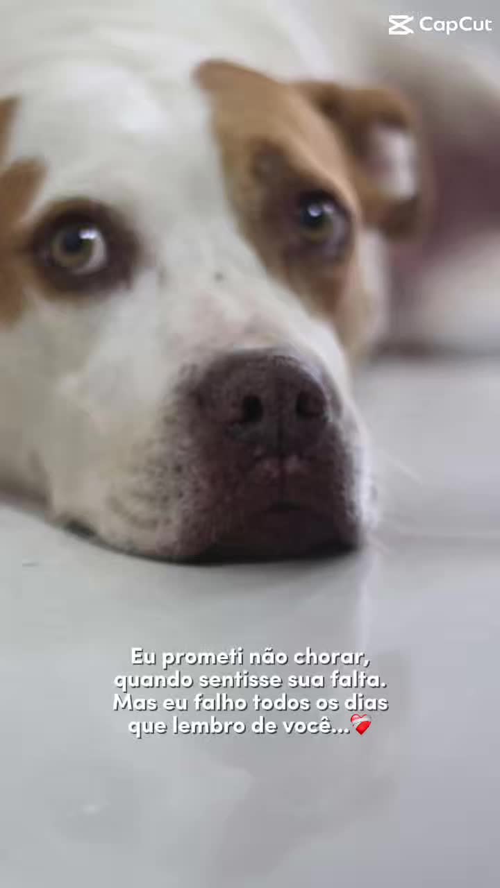 @Tainá Santos