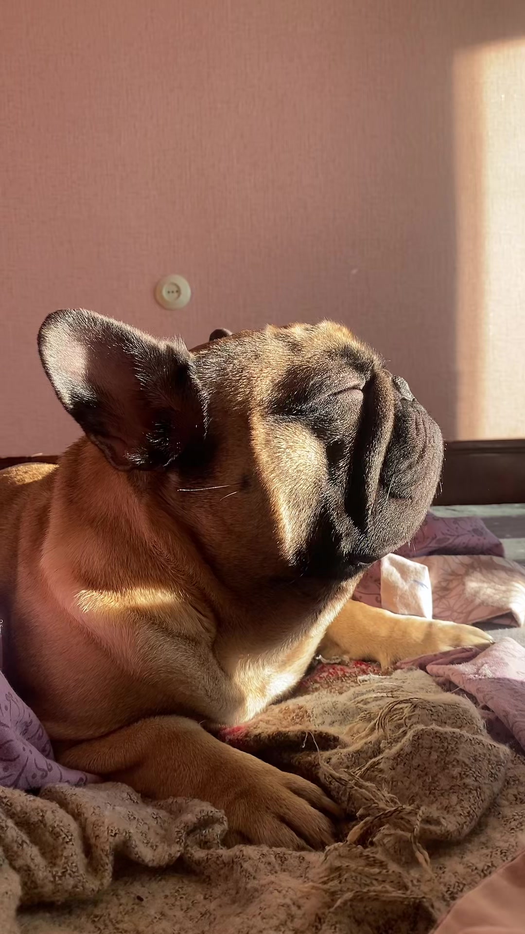 @_holly_bulls_