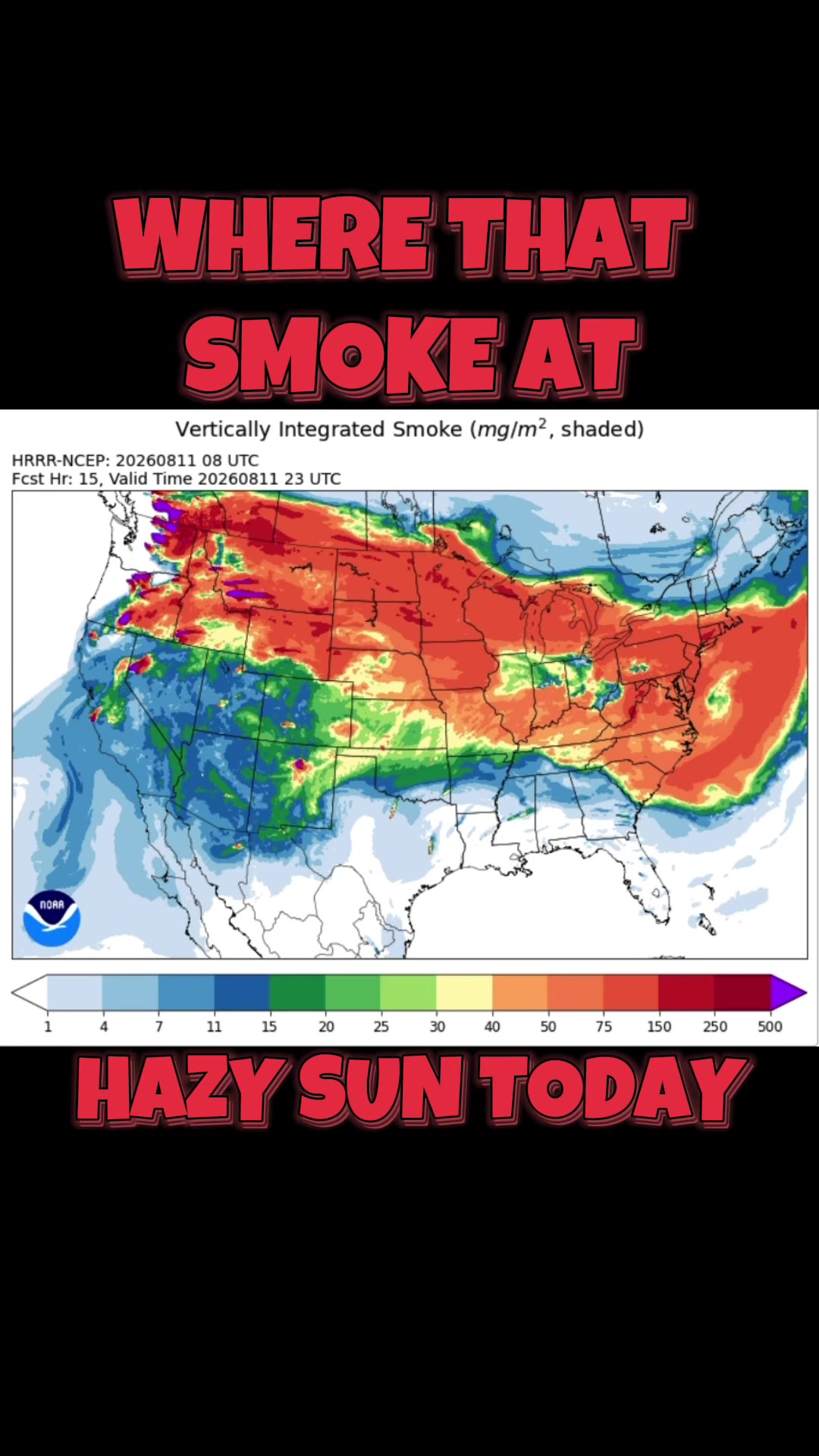 @🌪️Weather Beeotch 🐝