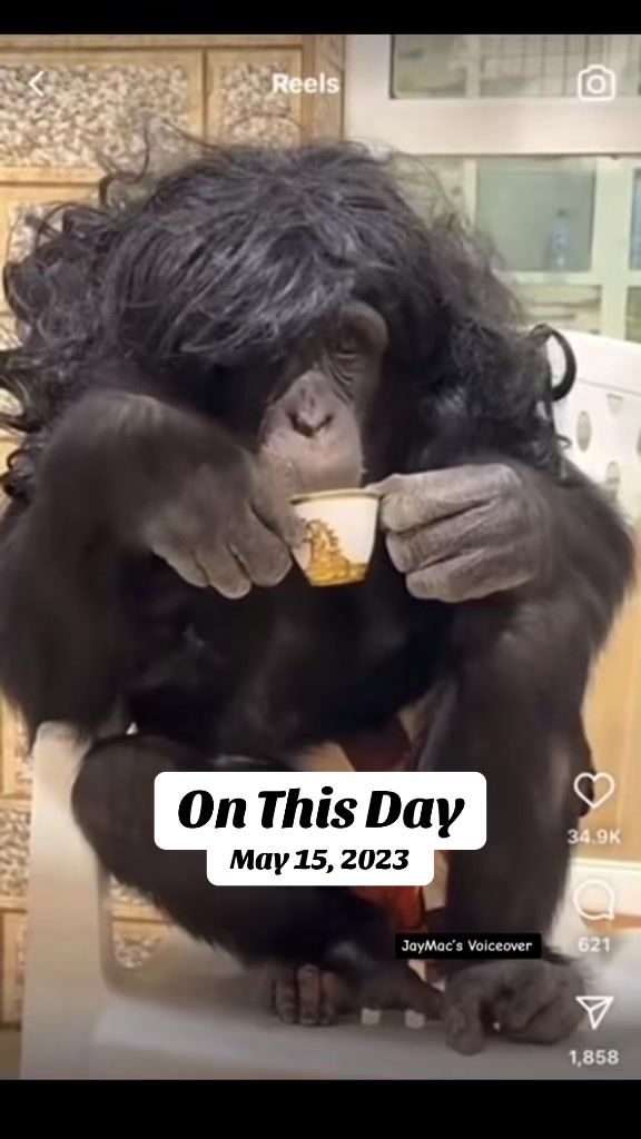 @JayMacComedy