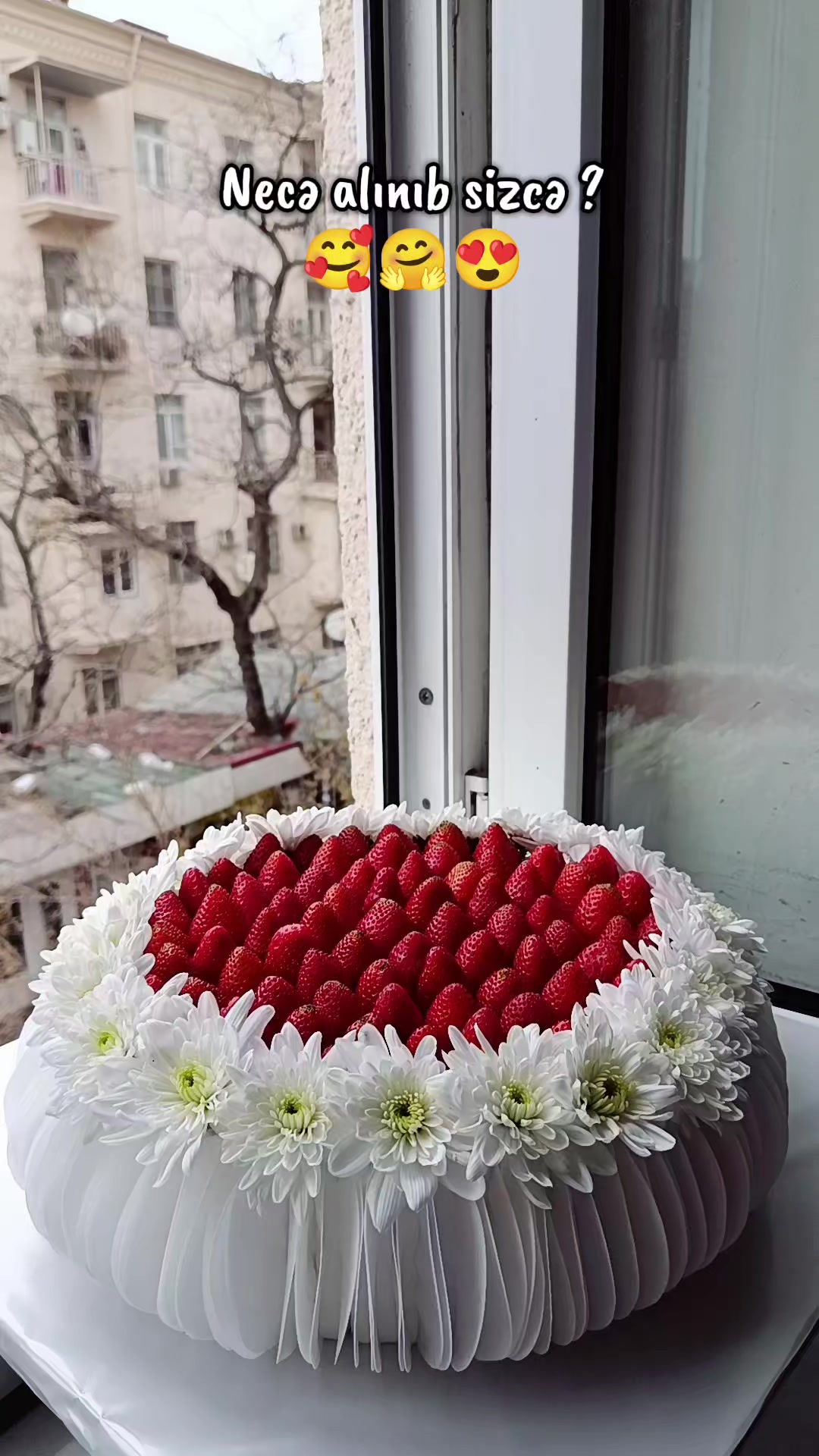 @Ev Tortları Nərimanov