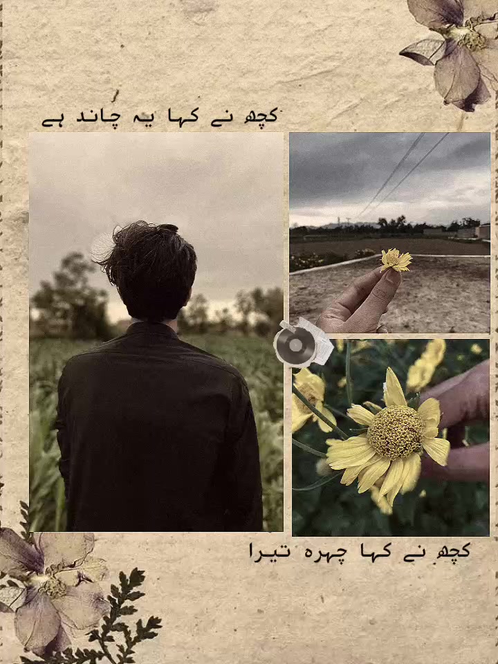 @𝘼𝙣𝙞𝙞𝙨𝙨𝙨 🌸