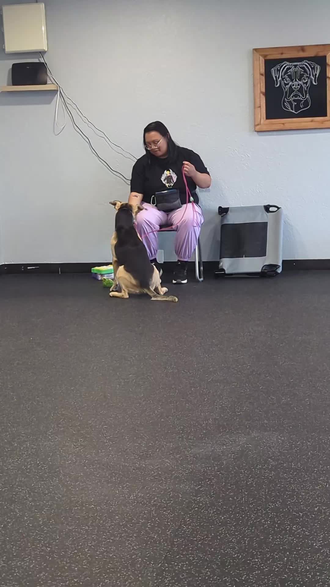 @South Paw Dog Training LLC