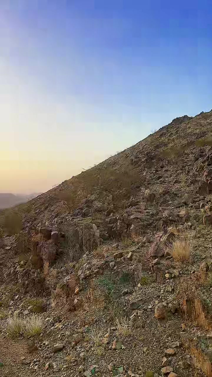 @الزهراني