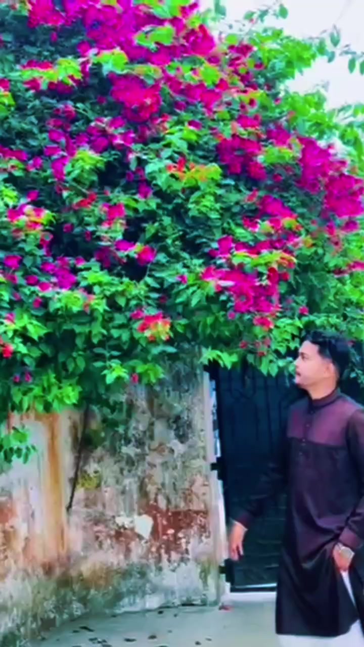 @RONEY🕊️