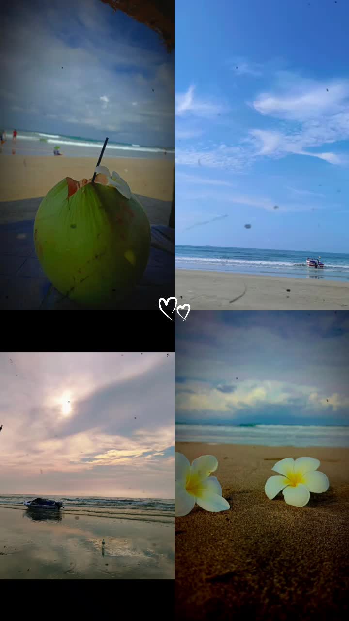 @Abi ❤️🥰. kutty