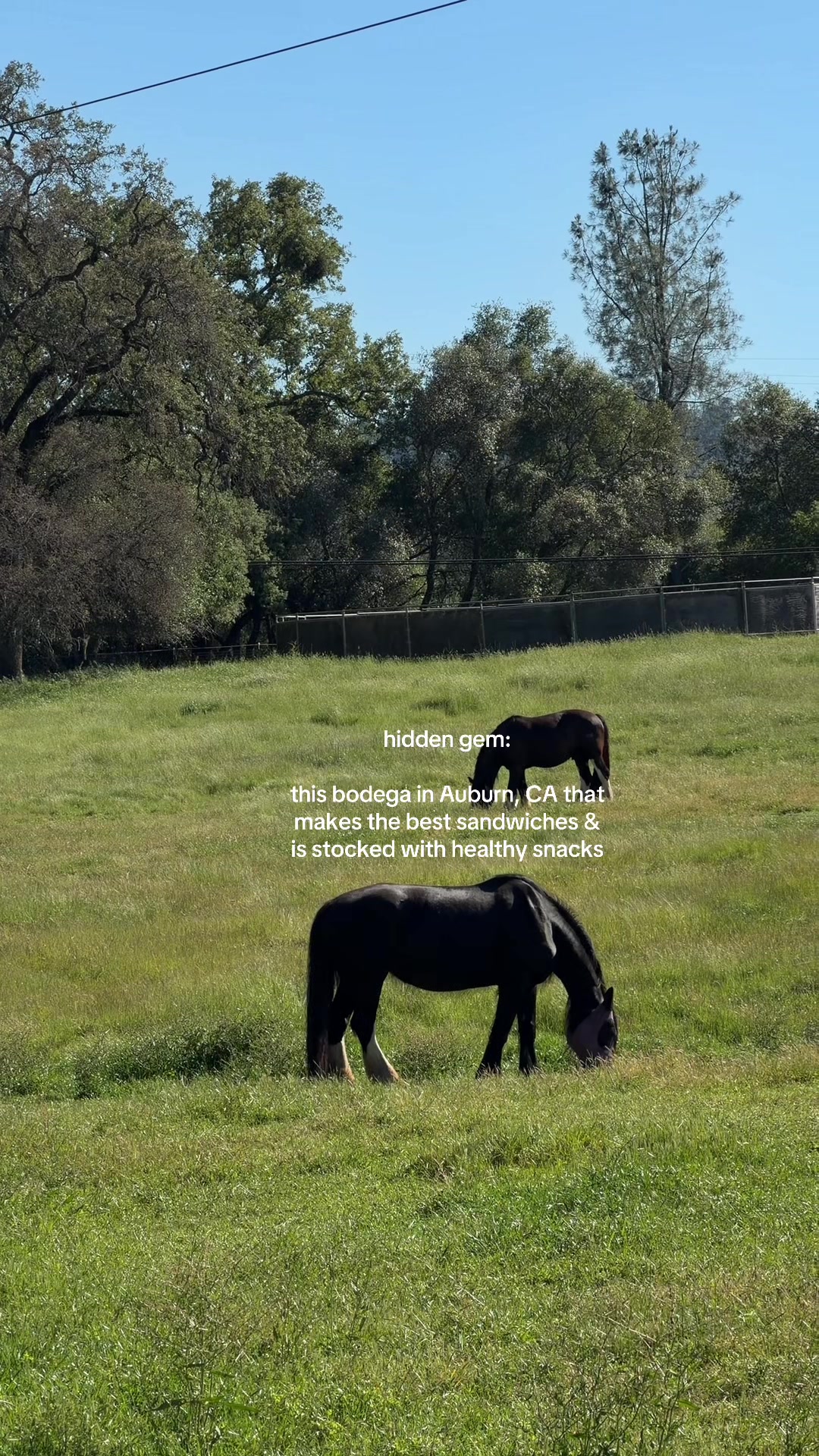 @natalie bula