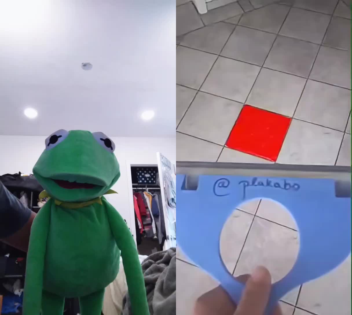 @Kermit The Frog Tiktok