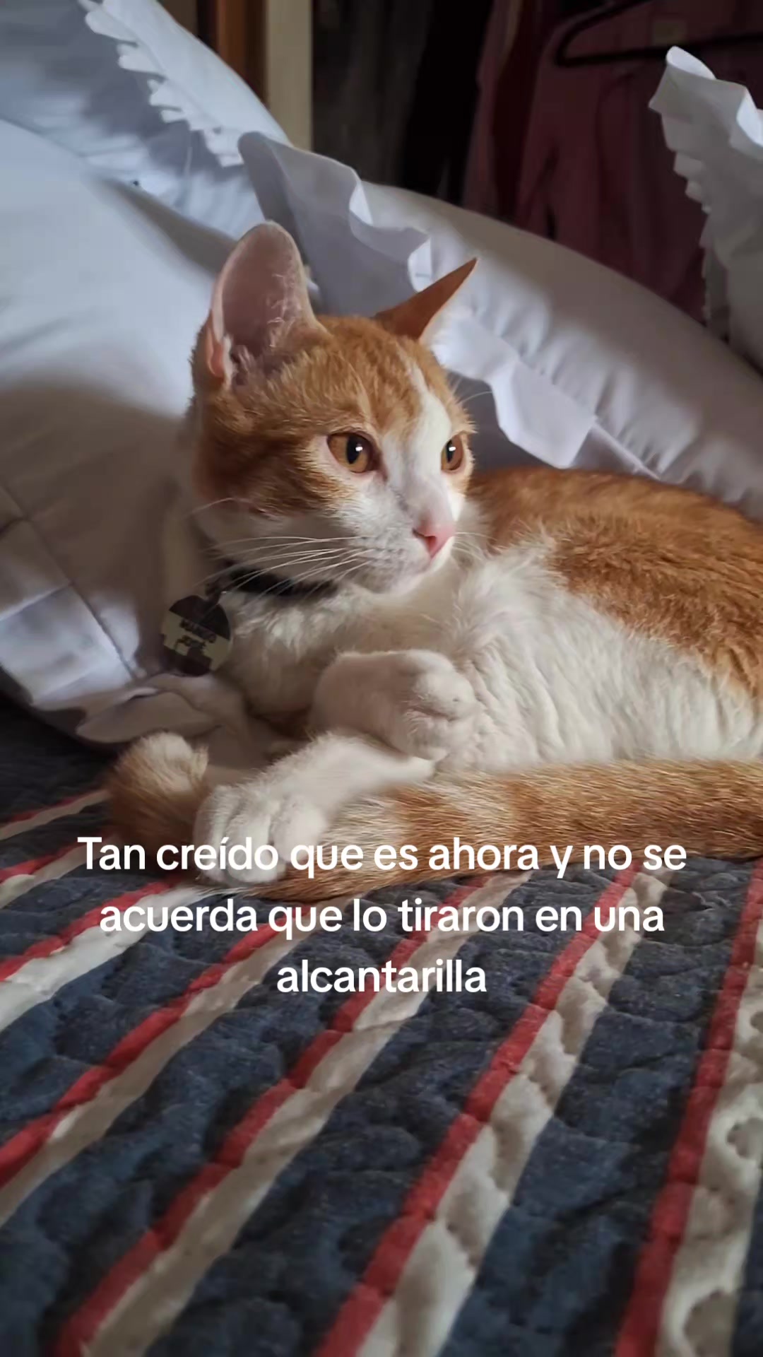 @Natalia Villalobos H