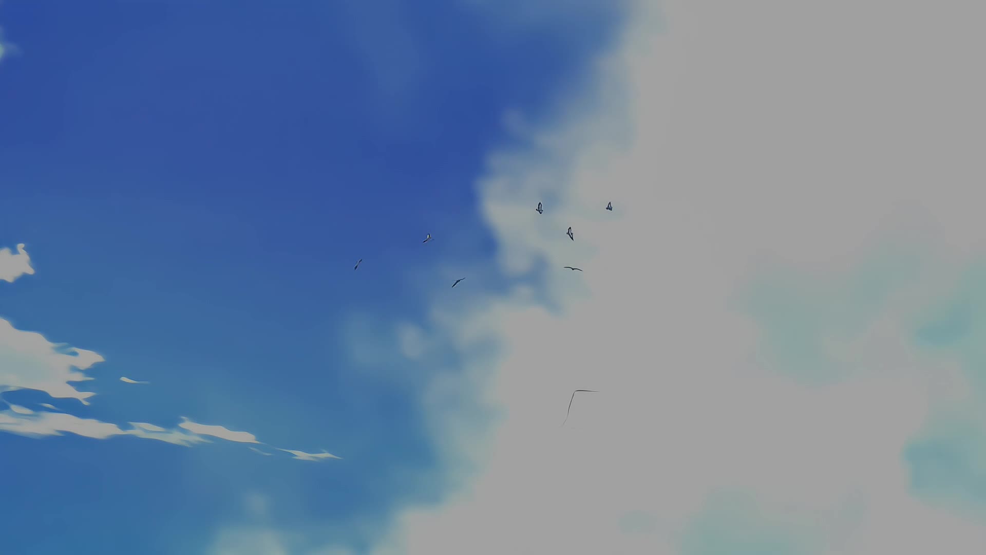 @๐๐ถ๐๐