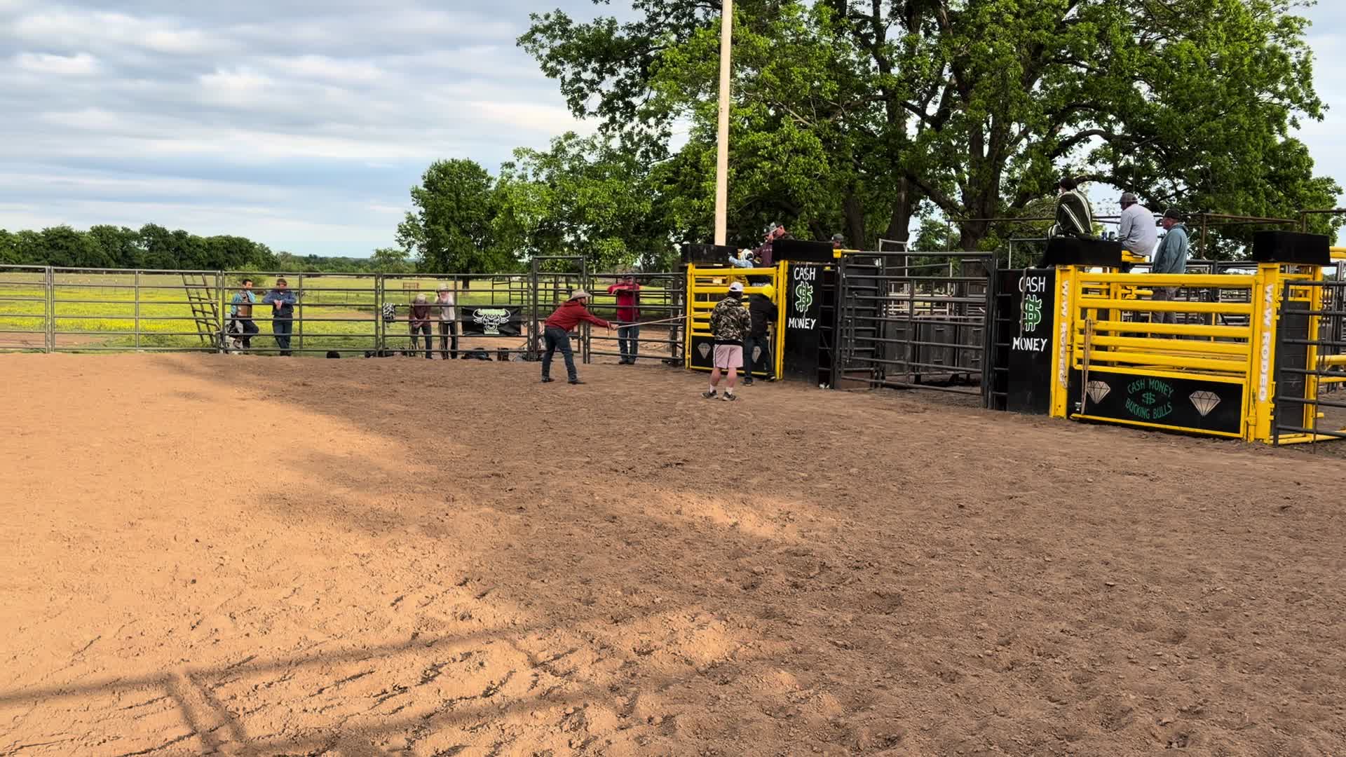@mamasboyroughstock