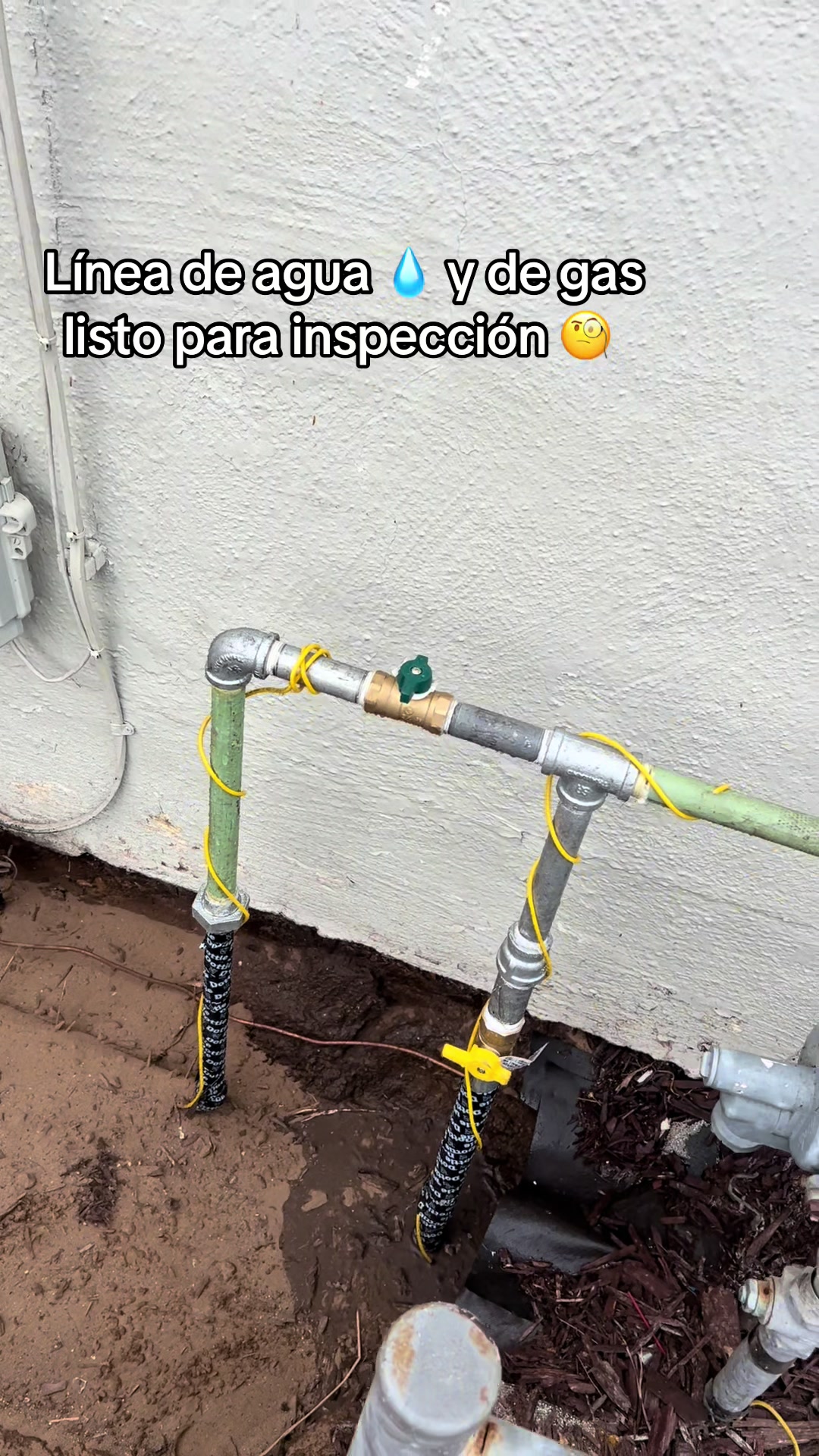 @christiansalmeron805